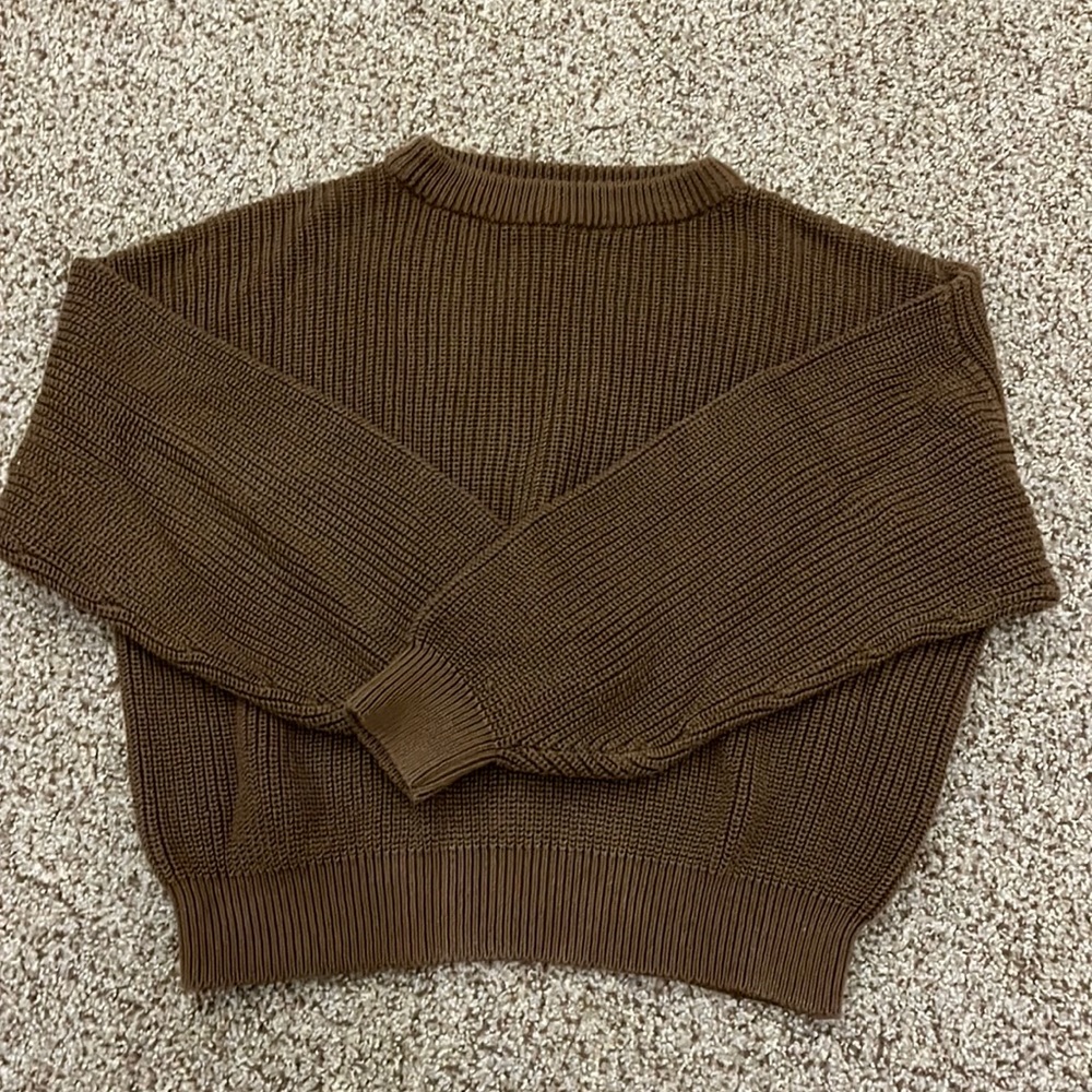 John Galt Brown Cropped Sweater